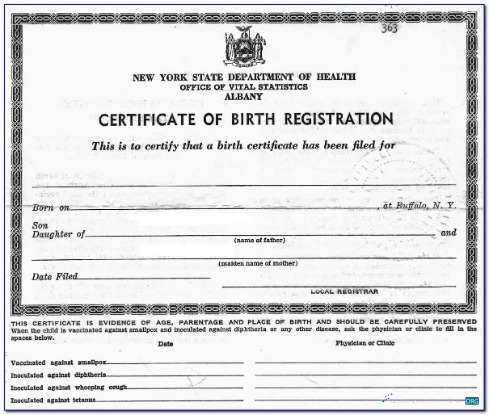 Download New York office of Vital Statistics Albany birth certification Photoshop template